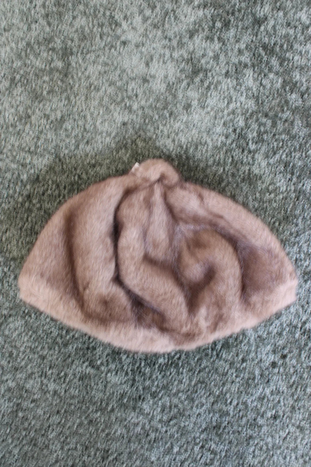 Tekoturkis baskeri Saaga